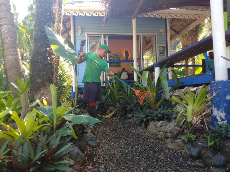 gardening